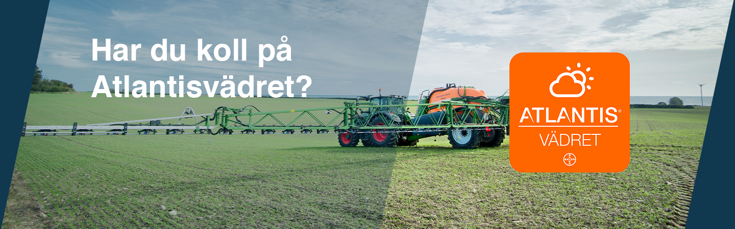 Har du koll pa Atlantisvadret